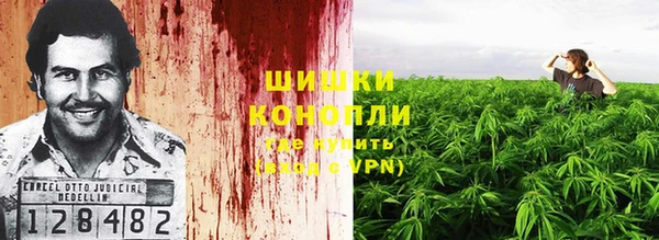 соль ск Медвежьегорск