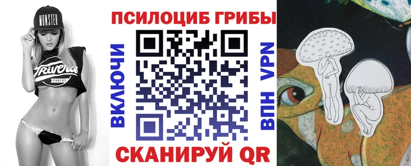 Галлюциногенные грибы Psilocybe  Малоархангельск 